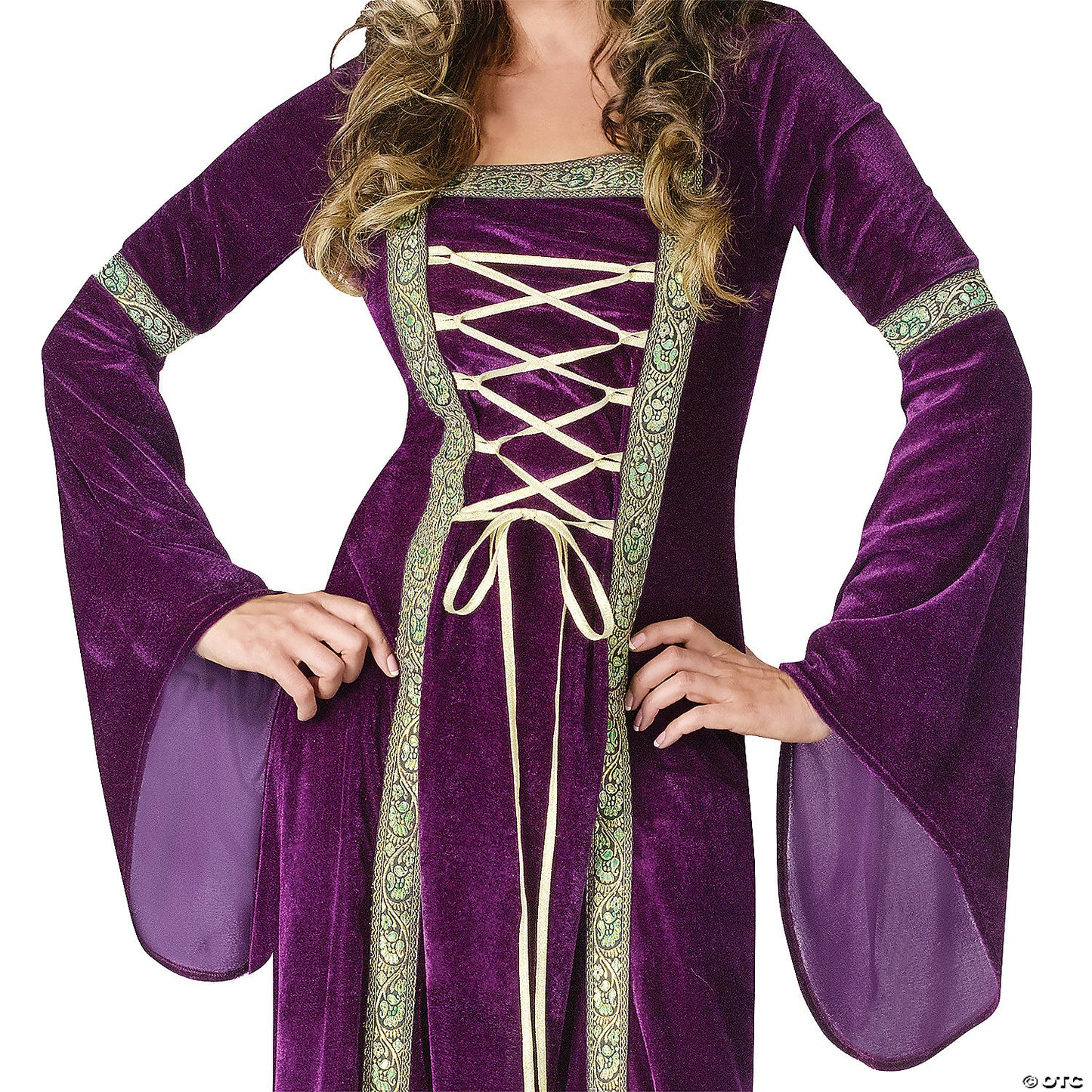 Women's Renaissance Lady Costume