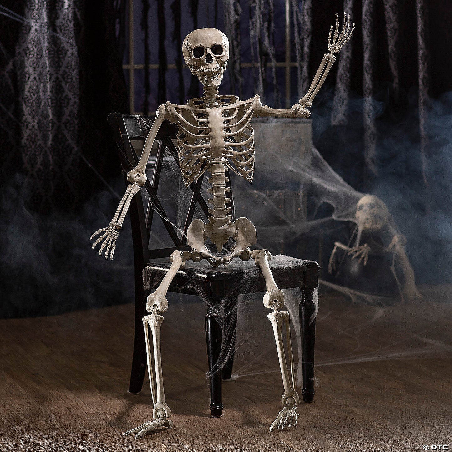 5 Foot Posable Skeleton