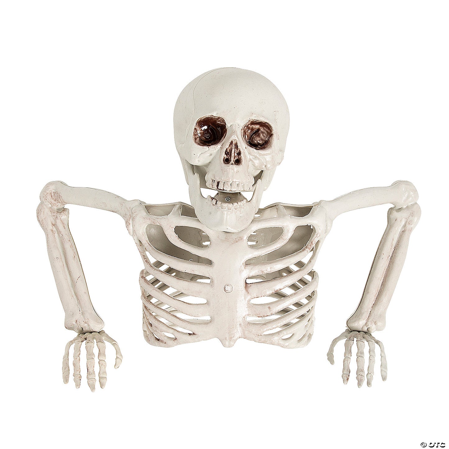 Table Top-half Skeleton