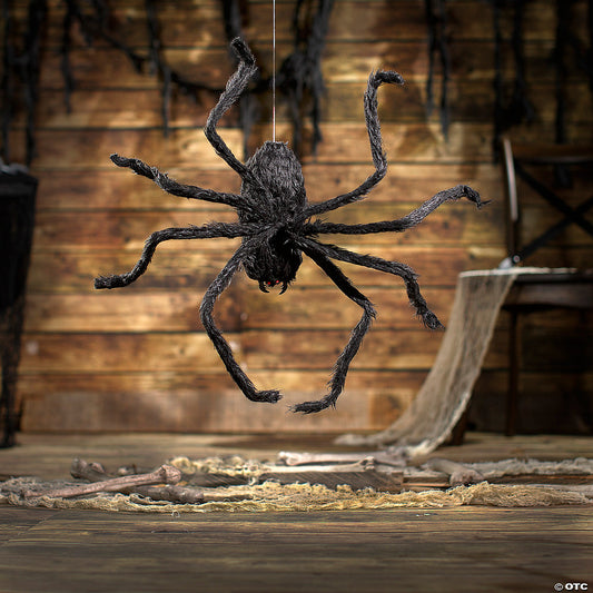 Animated Spider