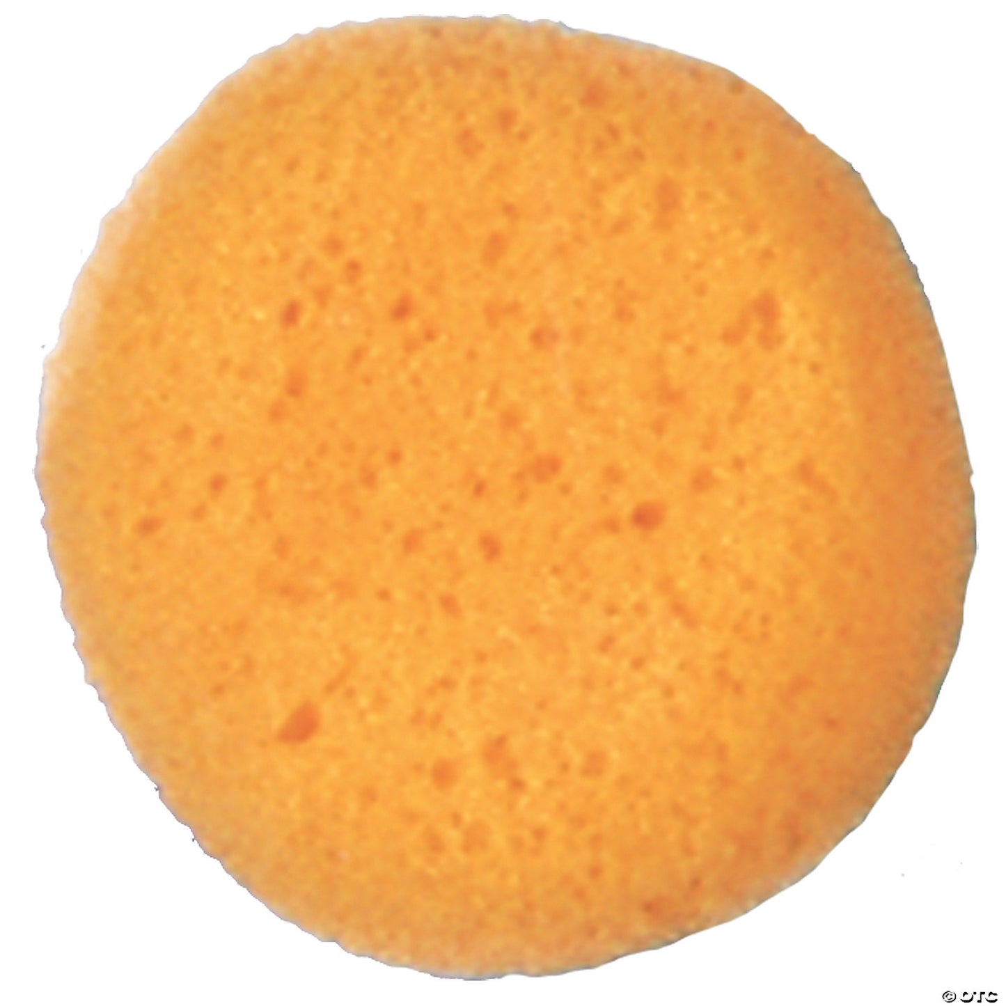 Cosmetic Sponge