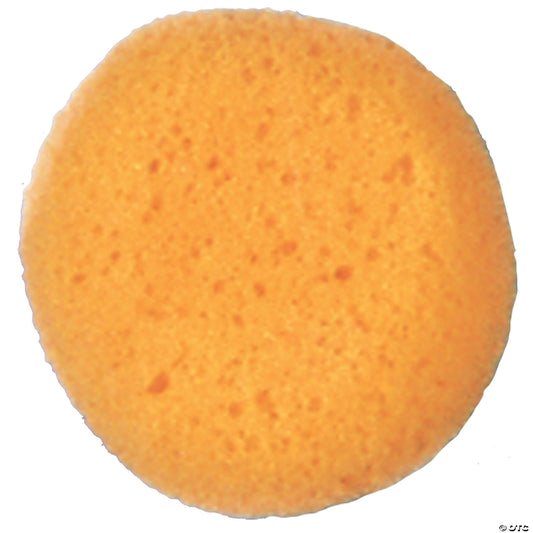 Cosmetic Sponge