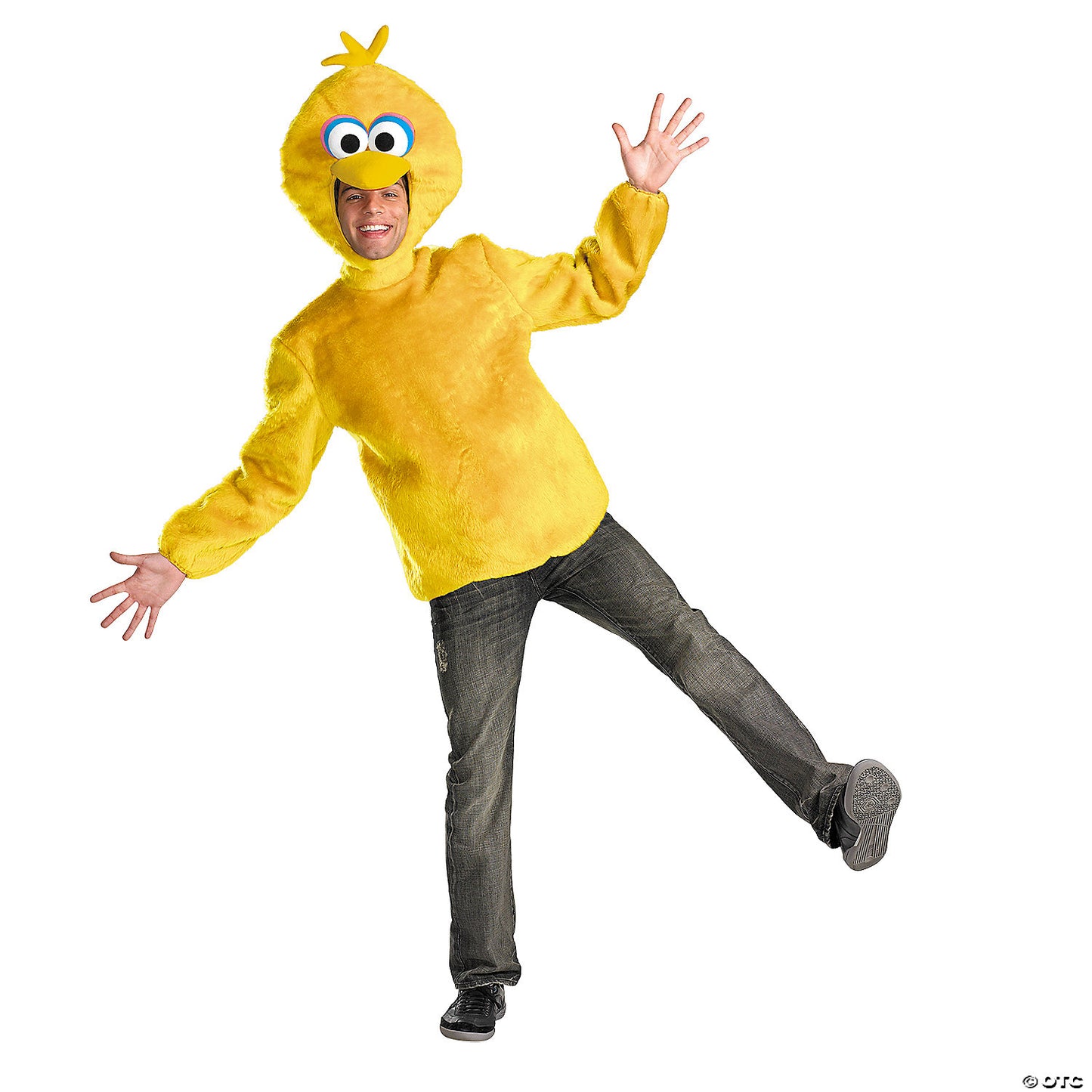 Adult Big Bird Costume