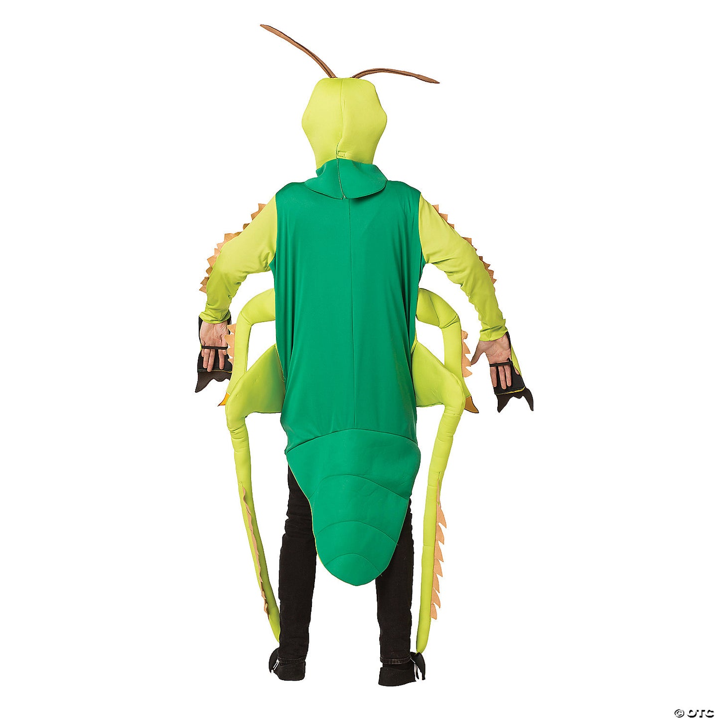 Adult Grasshopper Costume