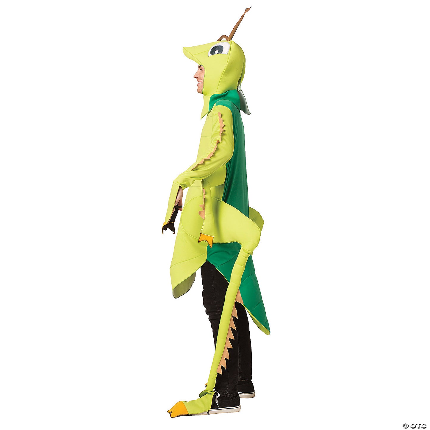 Adult Grasshopper Costume