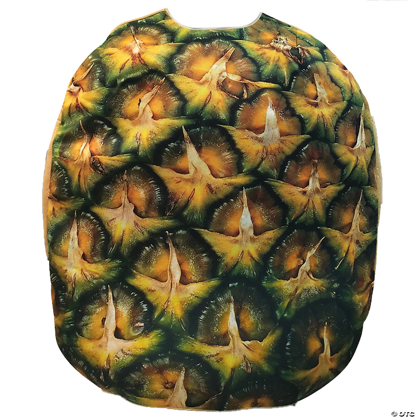 Adult Pineapple Costume Gc6543