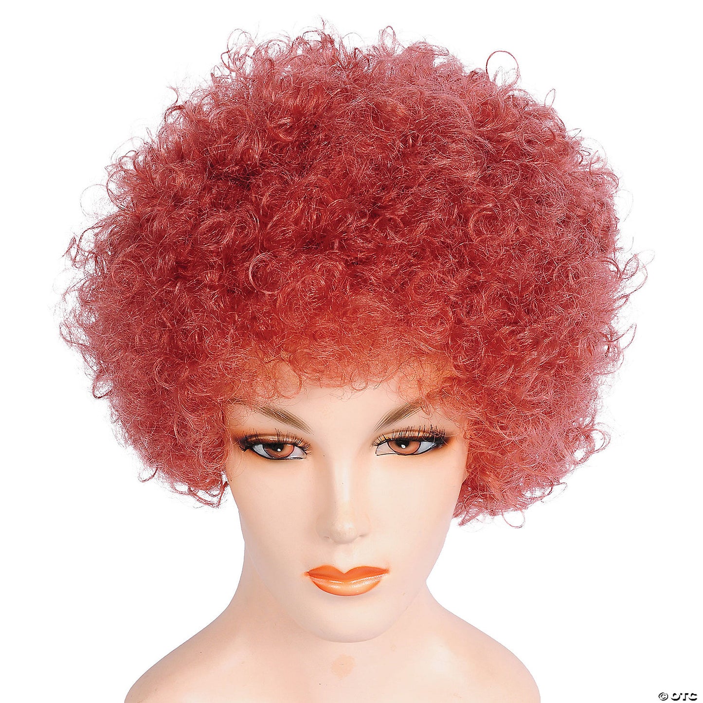 Adults Bargain Afro Wig