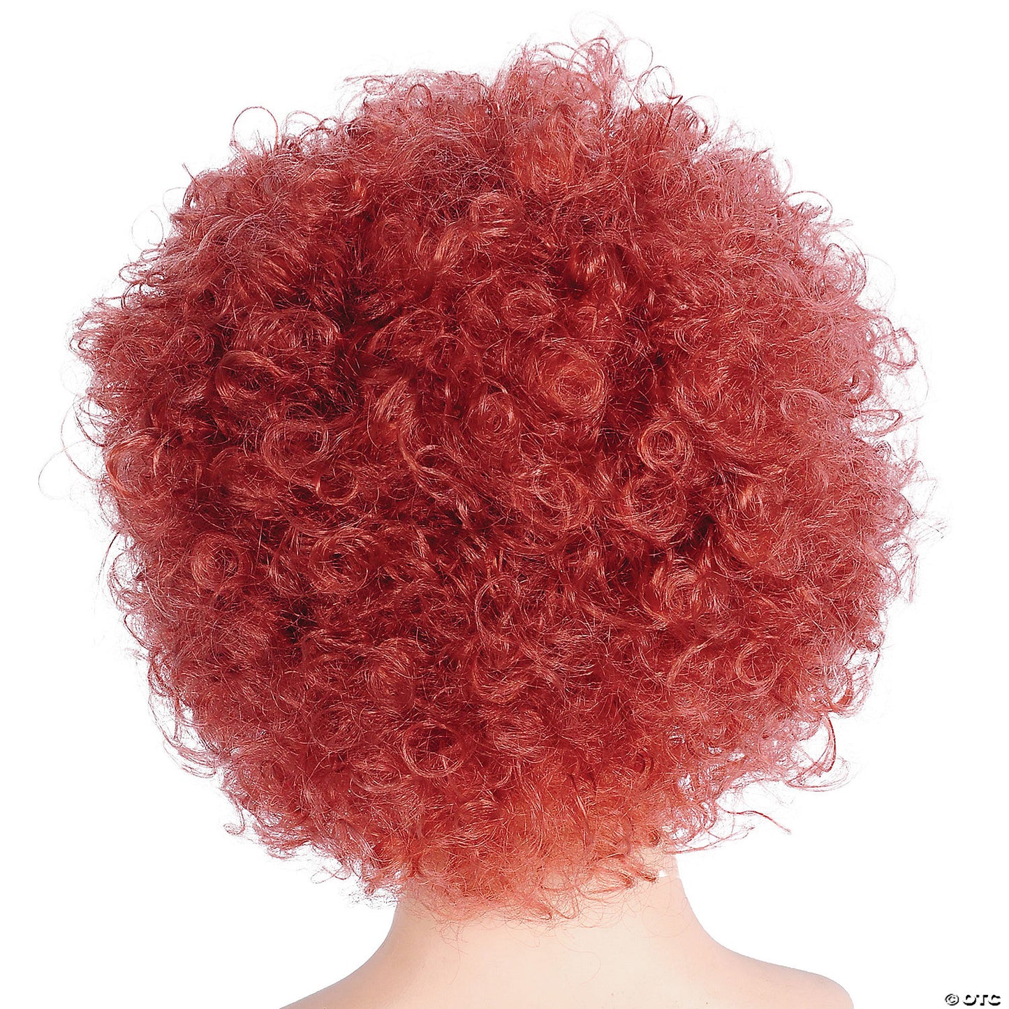 Adults Bargain Afro Wig