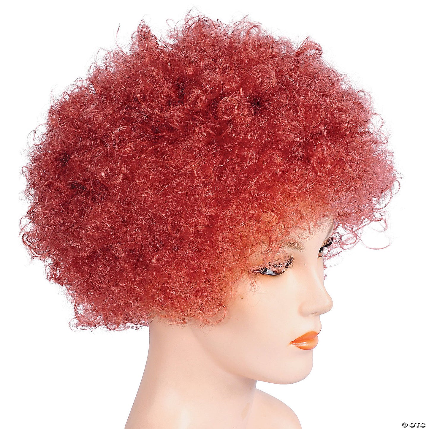 Adults Bargain Afro Wig