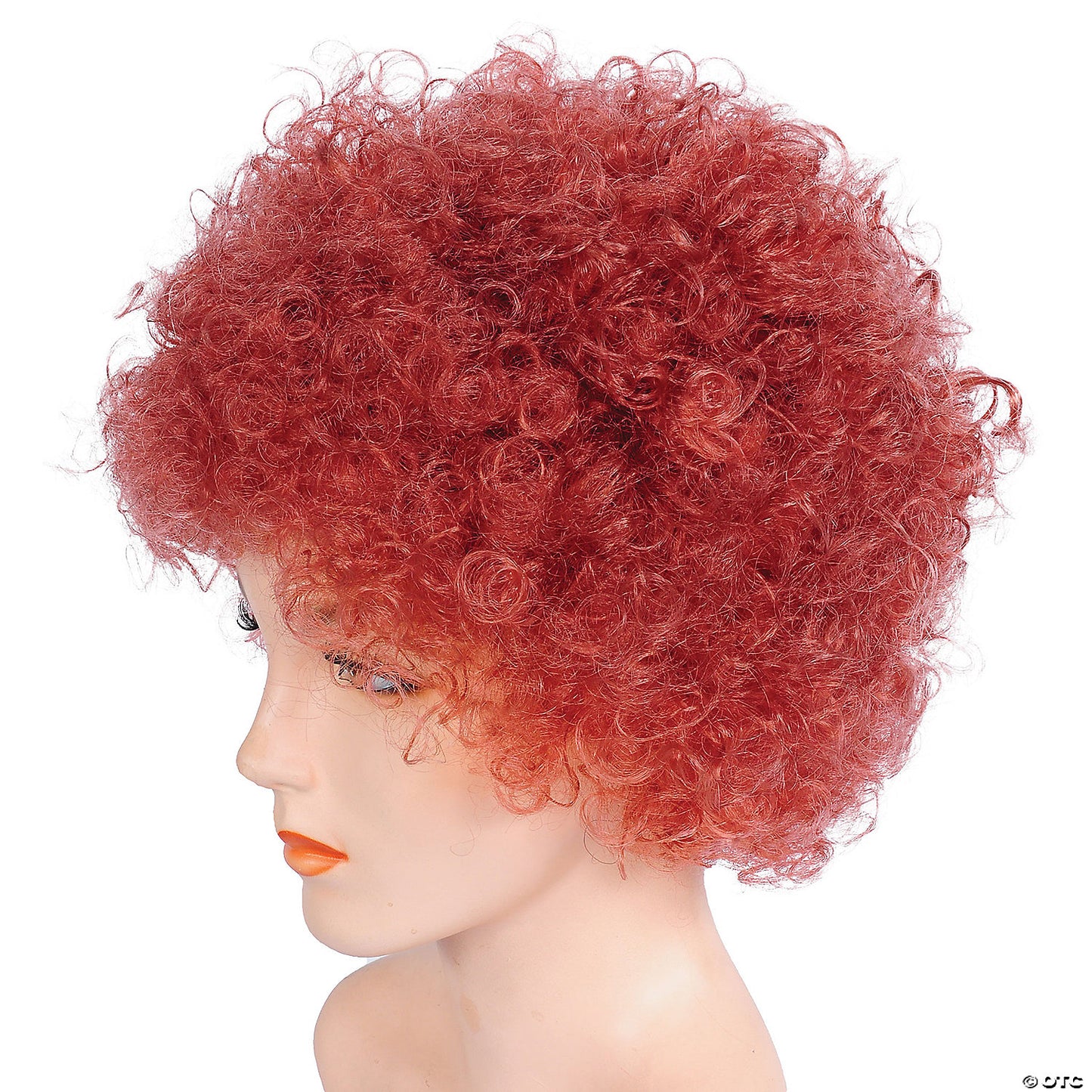 Adults Bargain Afro Wig