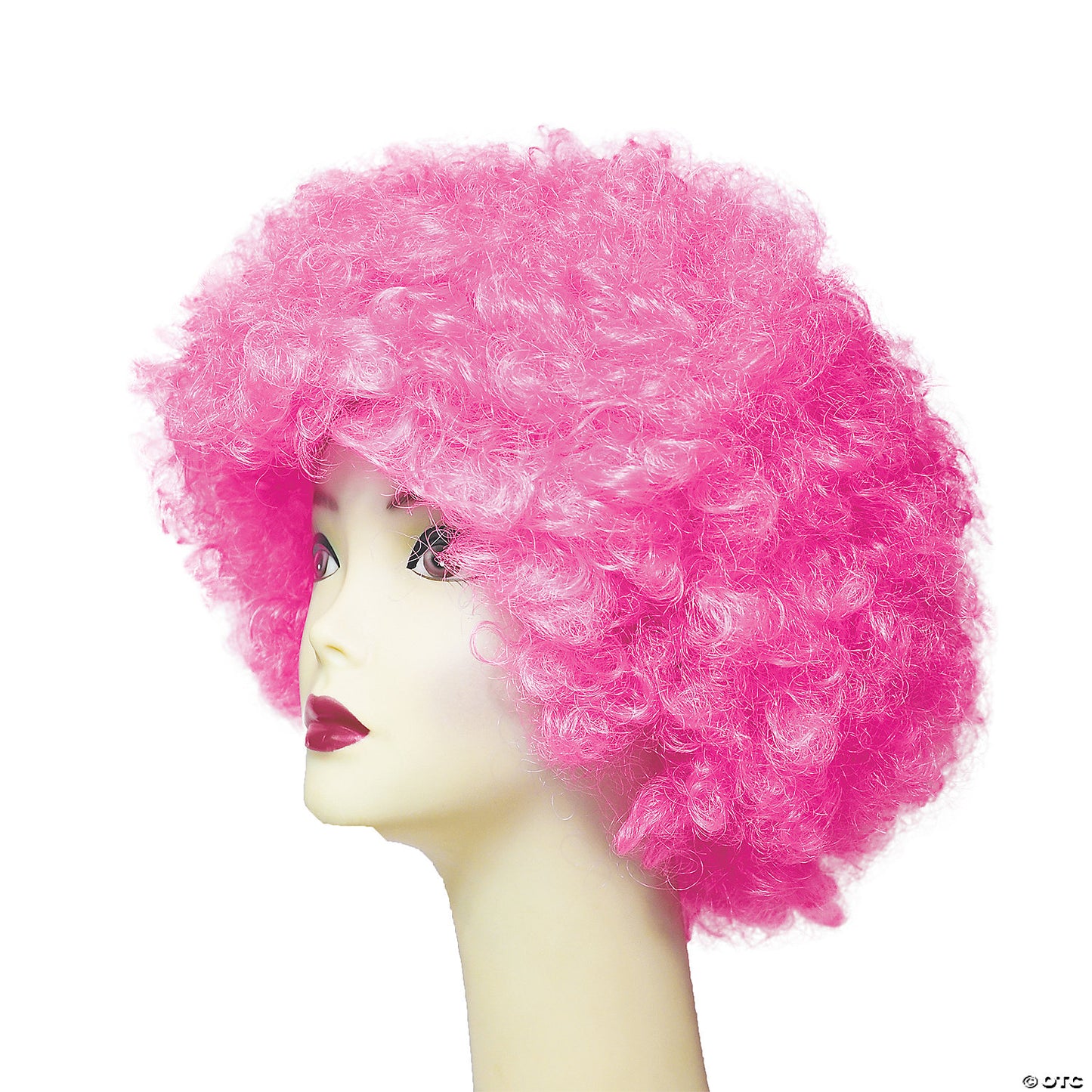 Adults Bargain Afro Wig