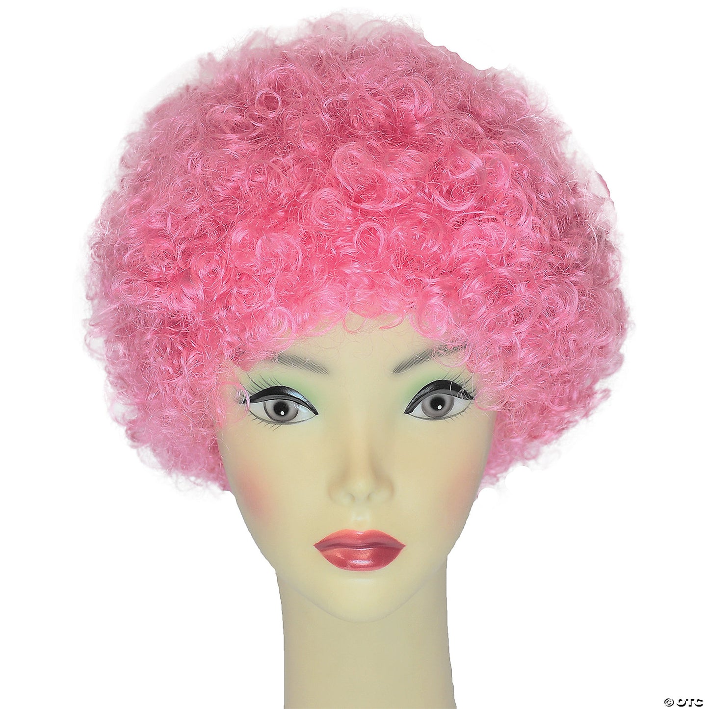 Adults Bargain Afro Wig