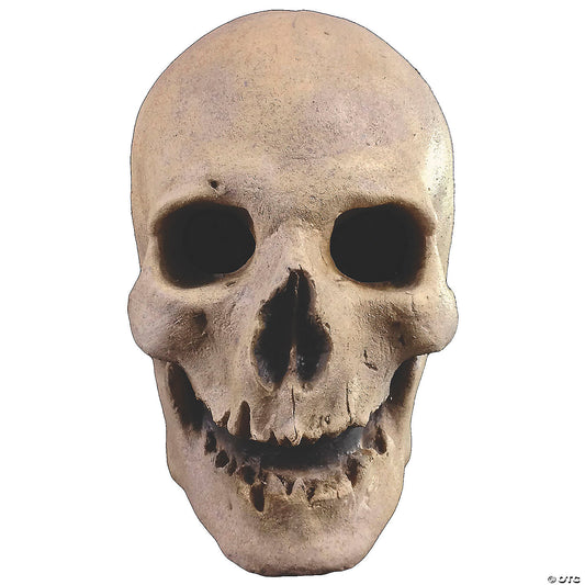 Antique Skull Mask