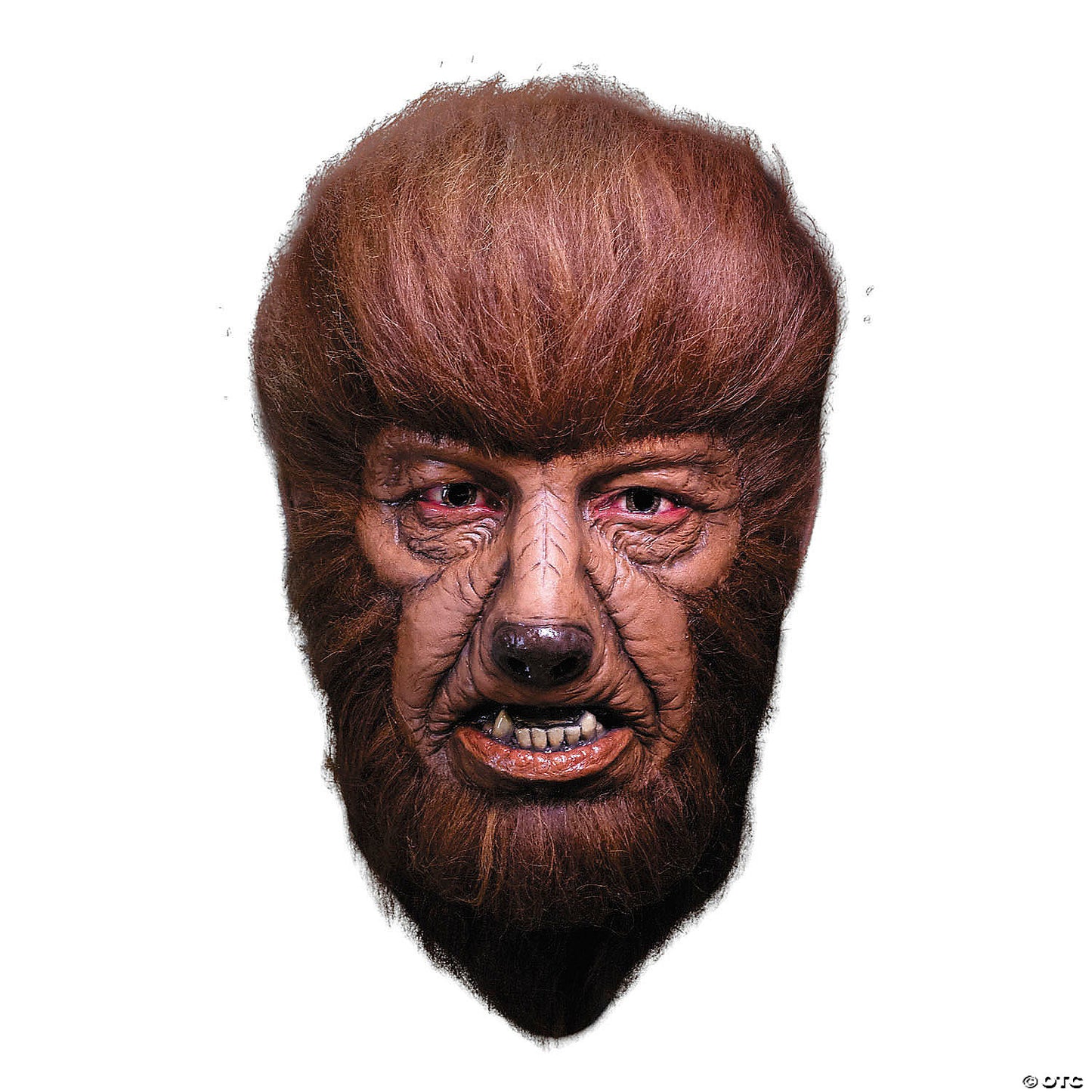 Wolfman Mask