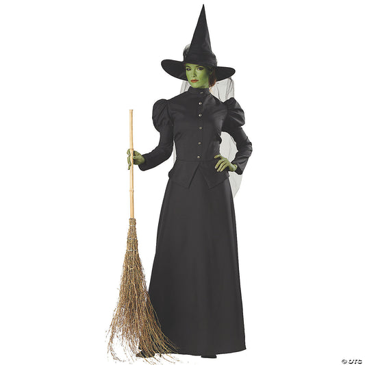 Women’s Deluxe Classic Witch Costume - Small