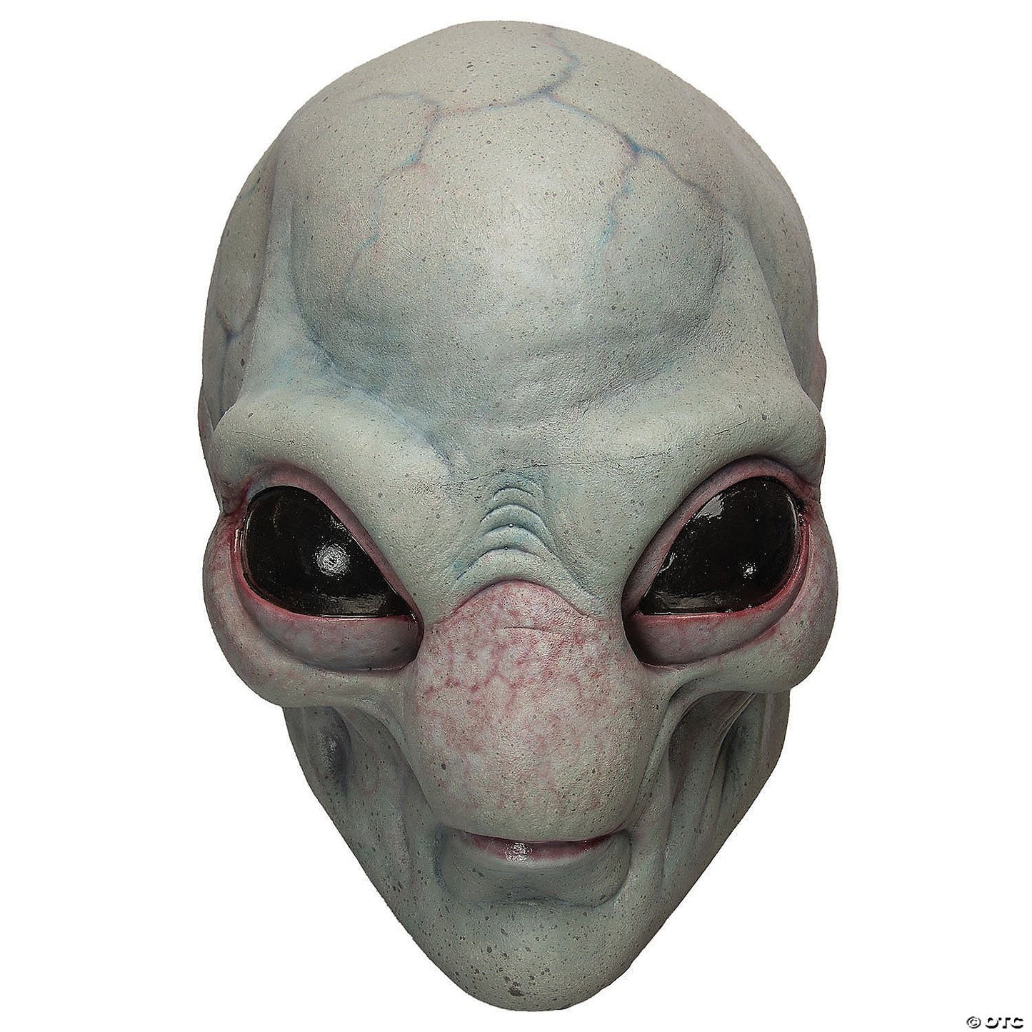 Visitor Adult Latex Mask