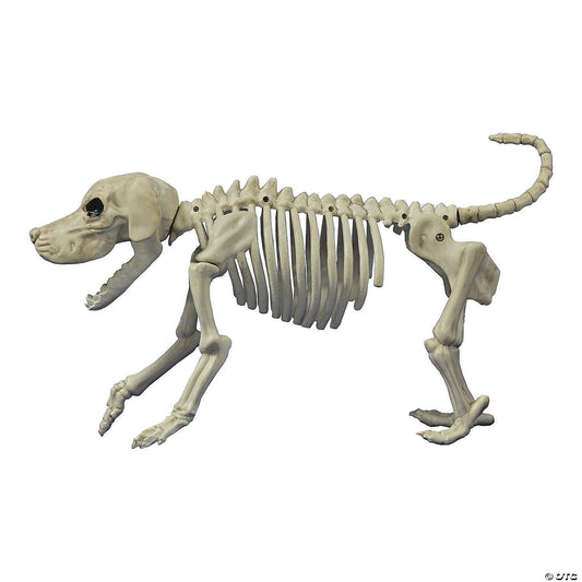 Beagle Bonez