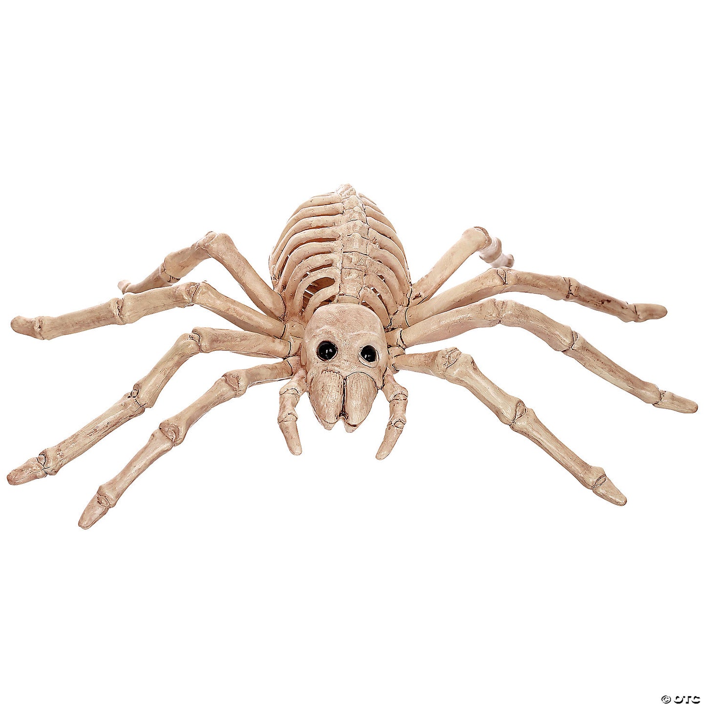 Skeleton Spider Se18215