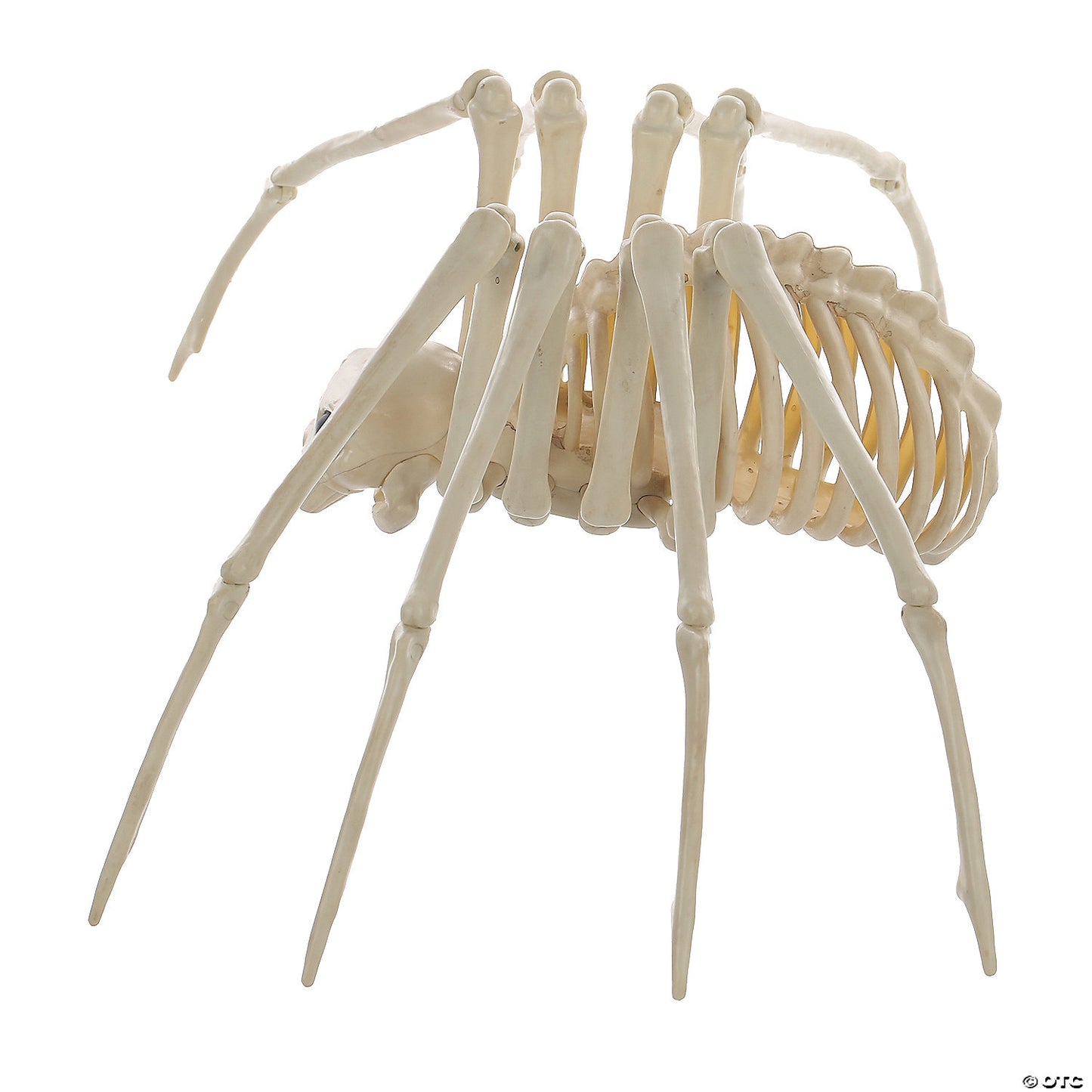 Skeleton Spider Prop