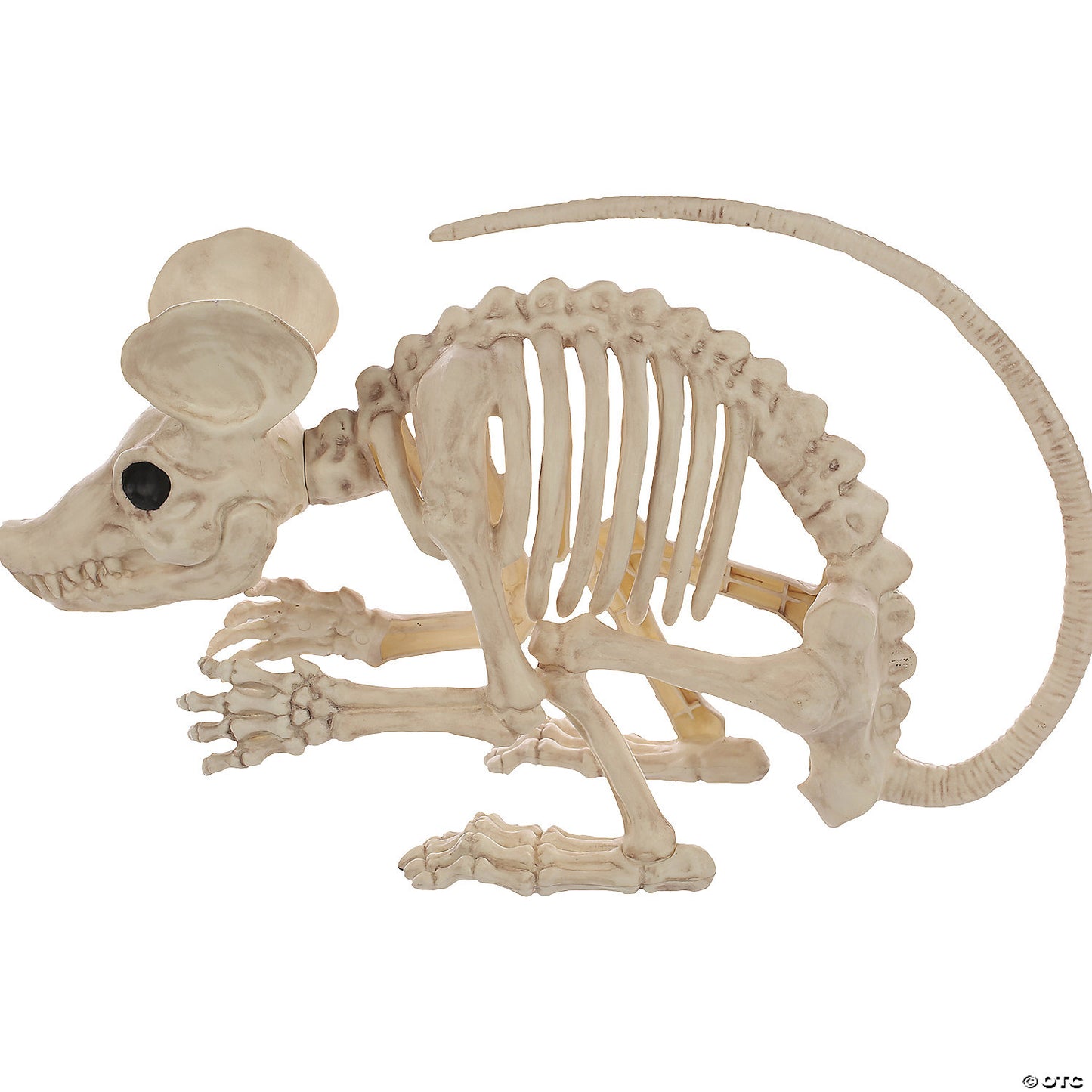 Rat Attack Skeleton 21.5 Inches