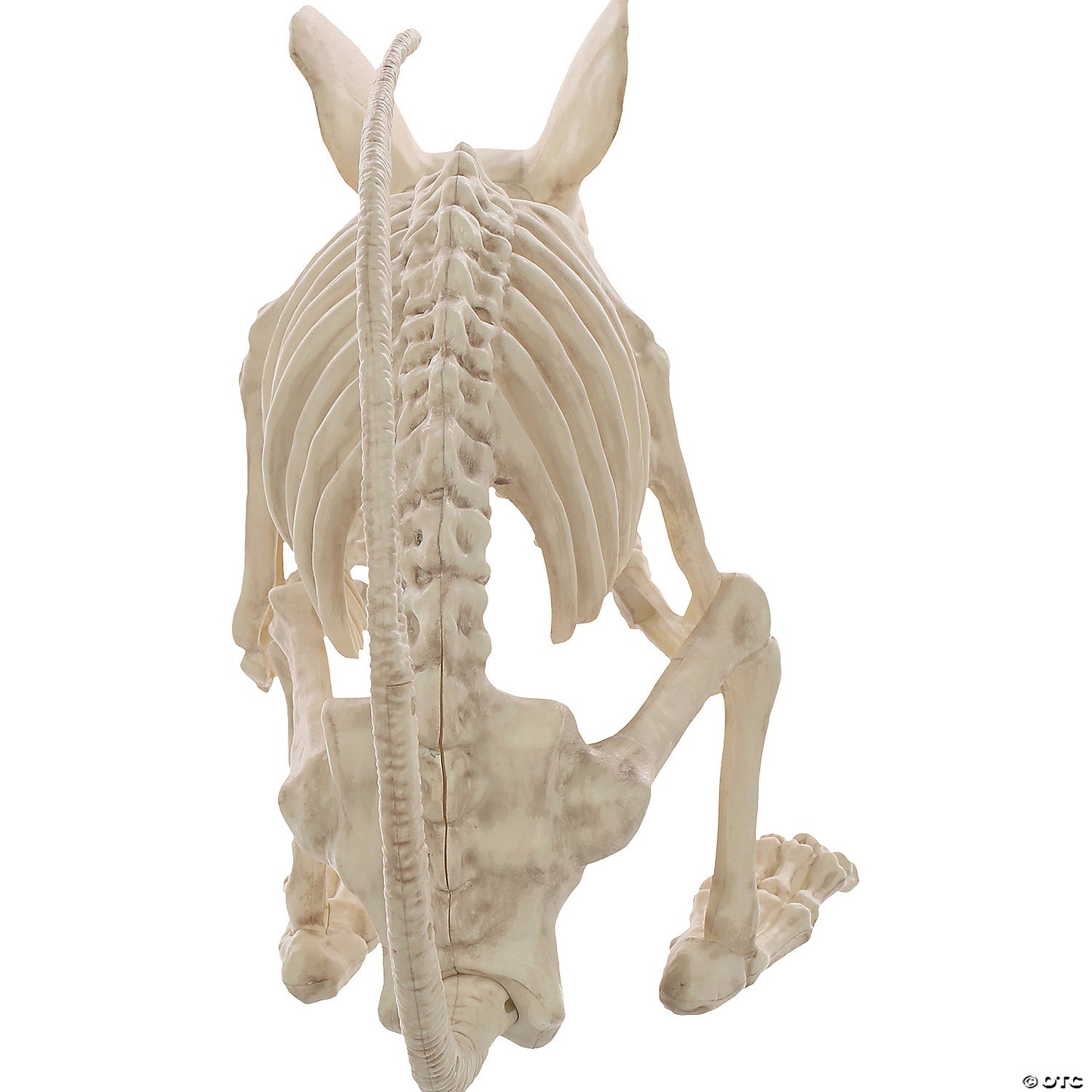 Rat Attack Skeleton 21.5 Inches