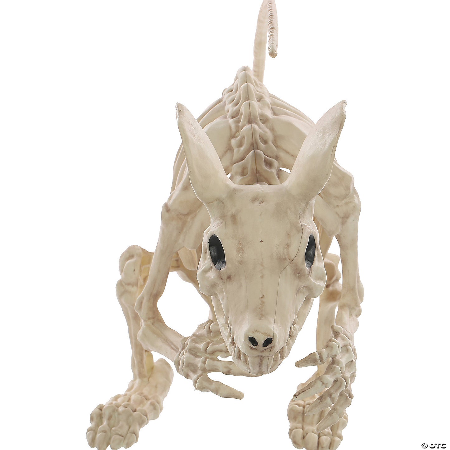 Rat Attack Skeleton 21.5 Inches