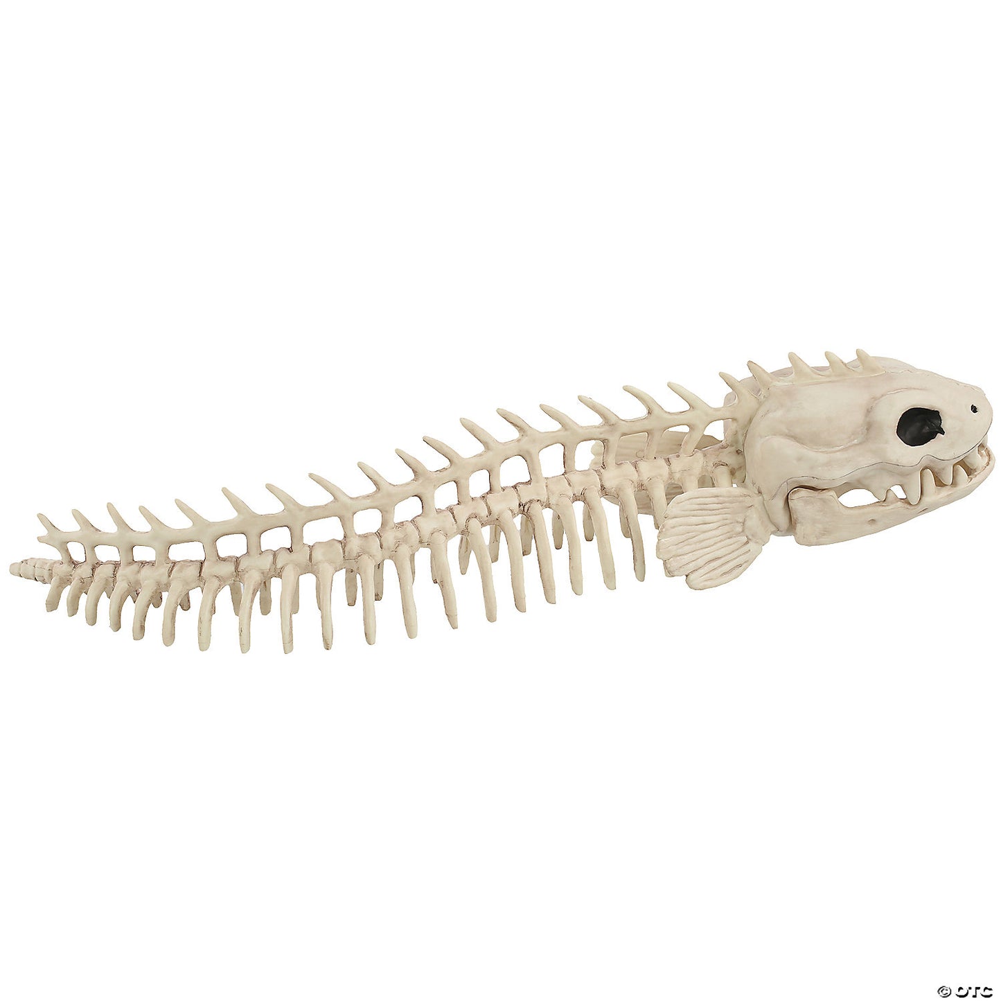 Skeleton Eel Prop