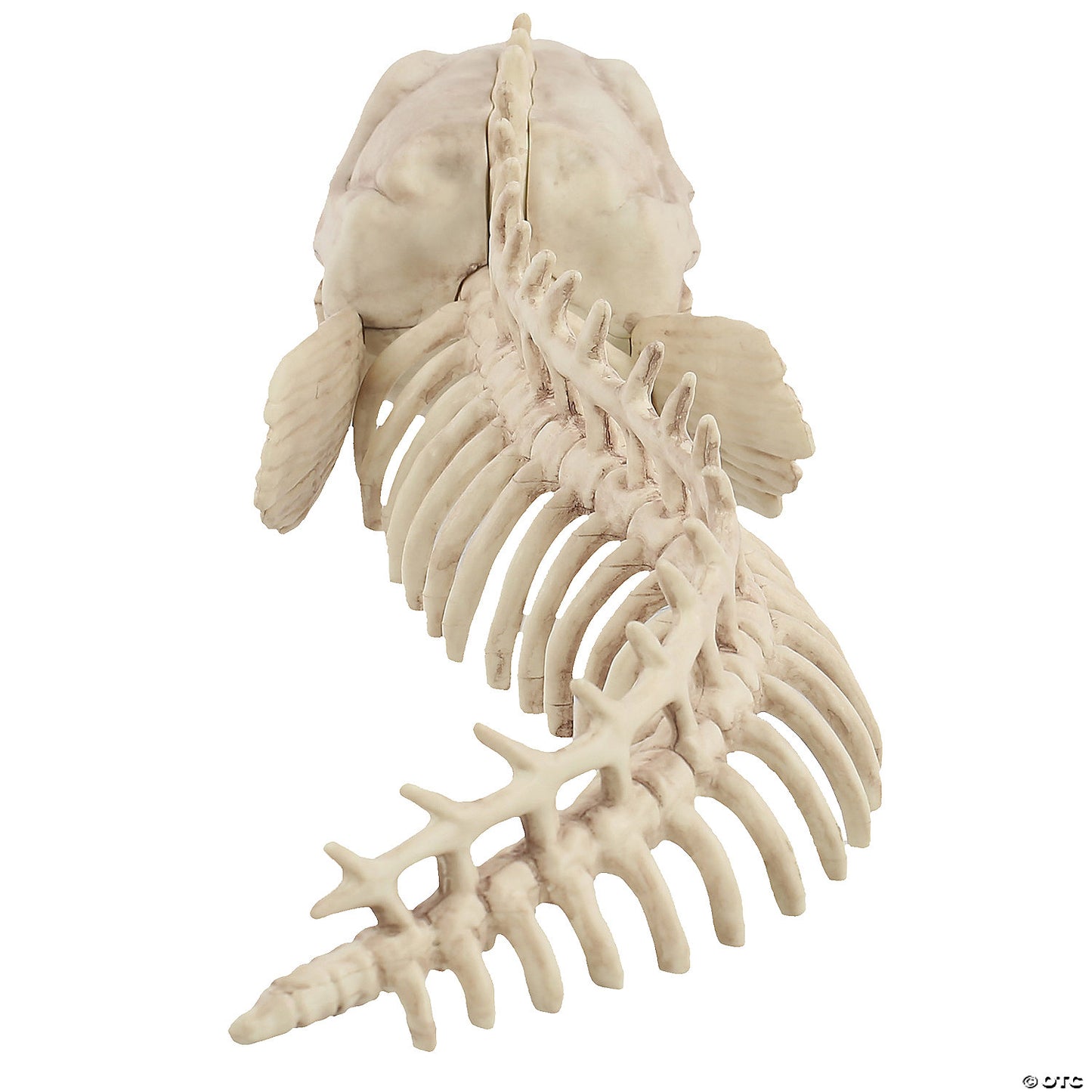 Skeleton Eel Prop