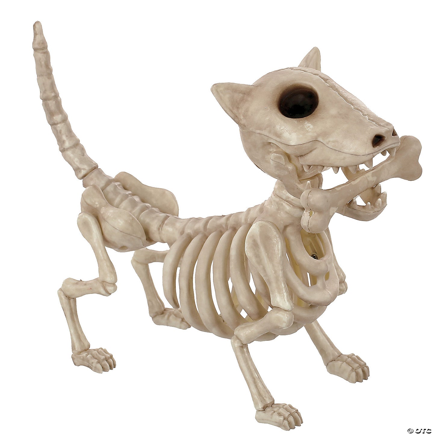 Digger The Skeleton Dog Prop