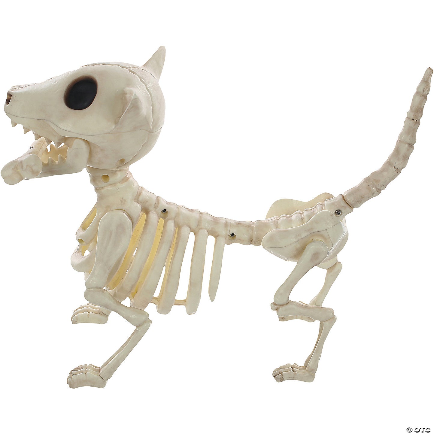 Digger The Skeleton Dog Prop