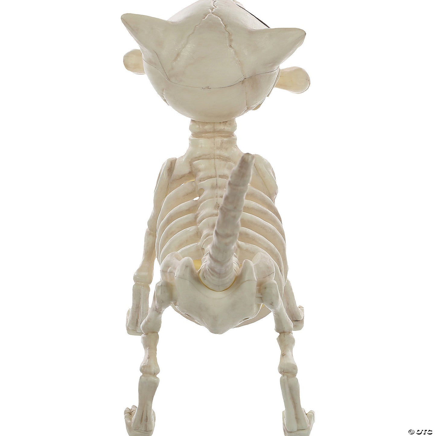 Digger The Skeleton Dog Prop