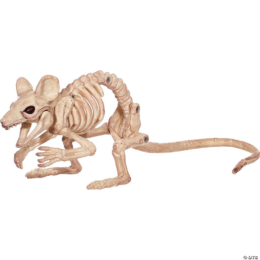 Creepy Crouching Mouse