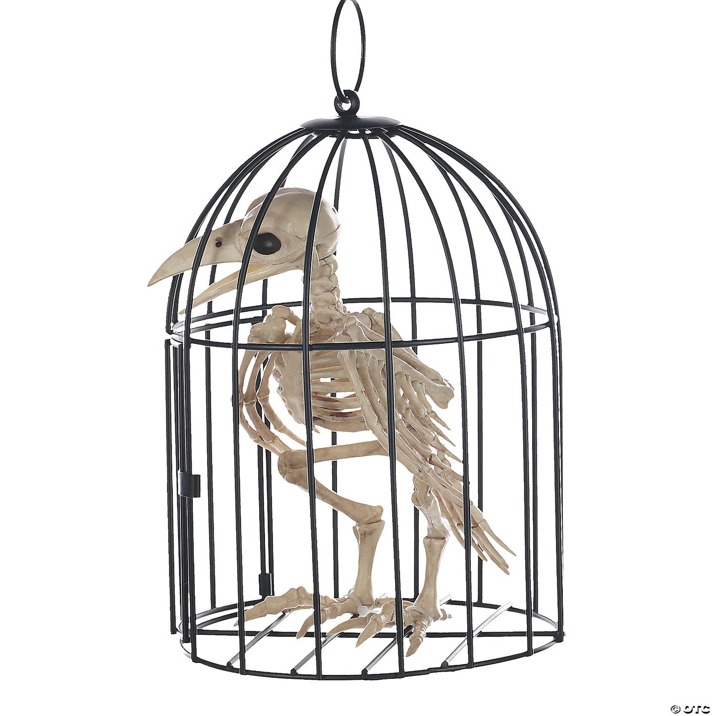 Skeleton Crow In Cage