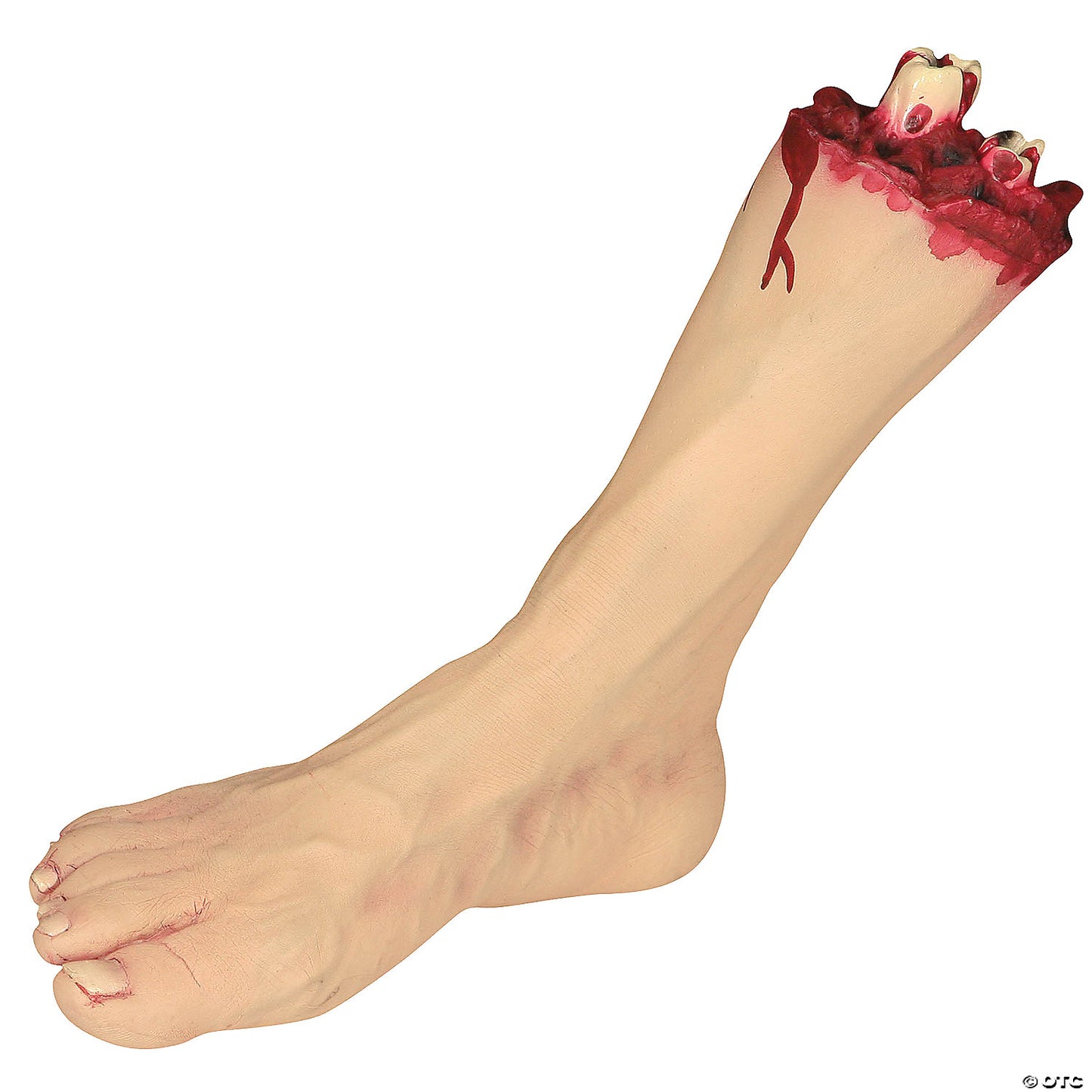 Severed Foot