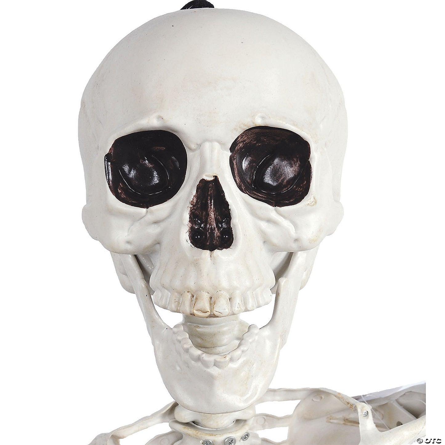 Skeleton Pose And Hold Decoration