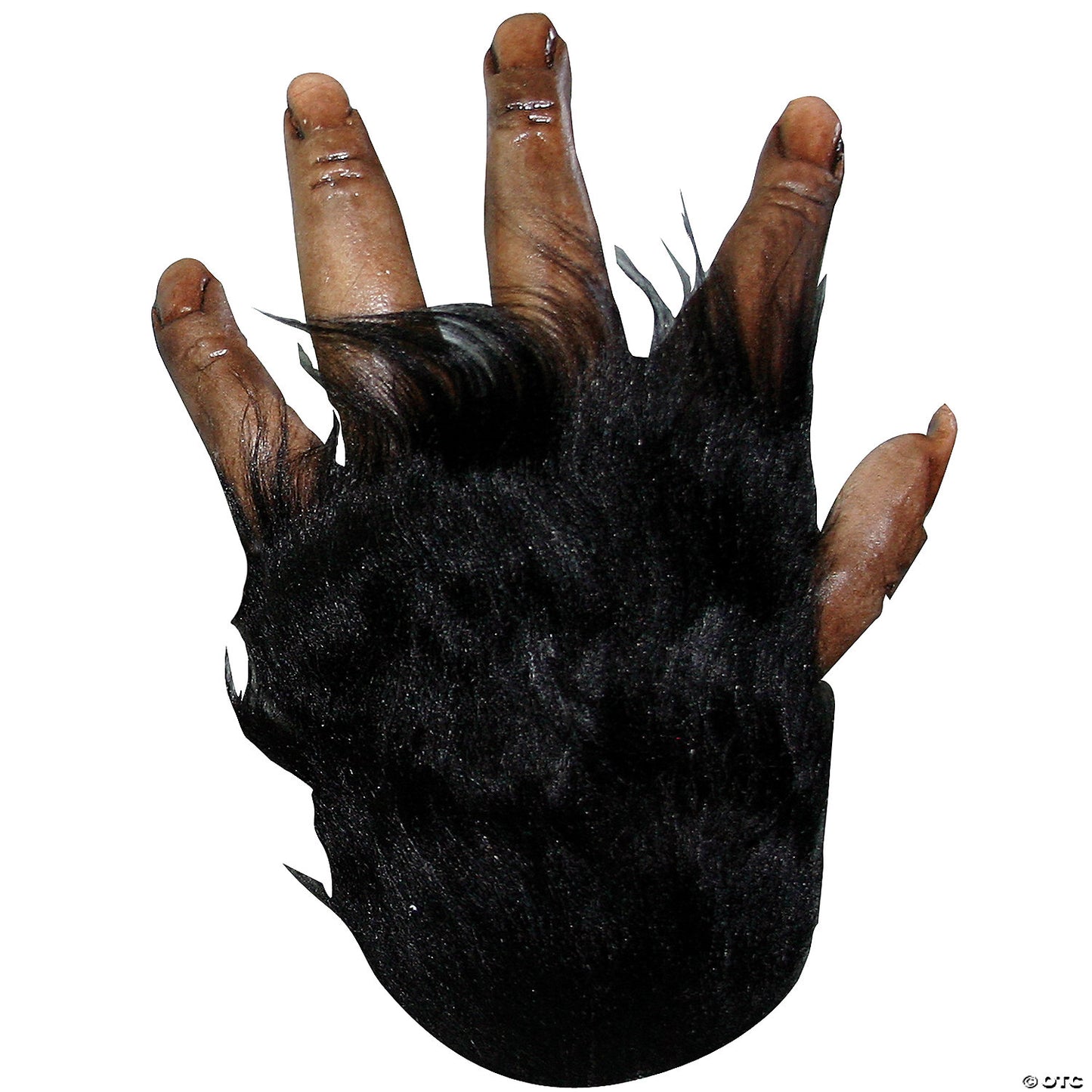 Adult Brown Chimp Hands